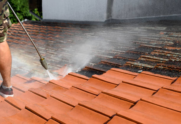 Best Roof Pressure Washing  in Keokuk, IA
